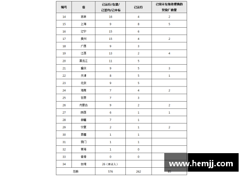 2017年球员汉化进程及其影响分析